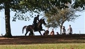 DRF-reglementerne 2012 er klar