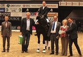 Kom med Blue Hors til JBK Horseshow