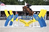 Sarah Kroman: Fod under eget bord