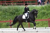 DV-hest vinder af 5-års Norsk Breeders Trophy dressur