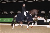 Flyvende hollænder