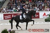 Rath og Totilas sat af landsholdet