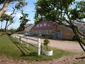 Springstævne i Ringkøbing