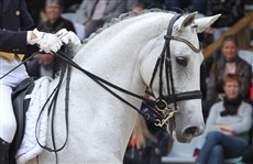 3. plads i GP til Donna Silver