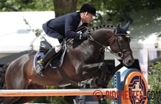 Tophesten Saint Amour til Janne Meyer