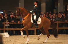 Årets KWPN-hest 2011: Parzival