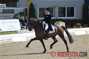 Første Nations Cup i dressur