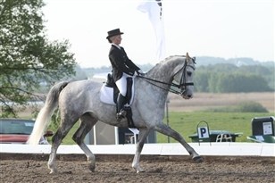 [Foto]