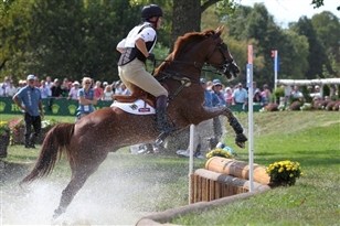 [Foto]