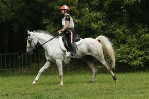 [Foto]