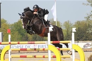 [Foto]