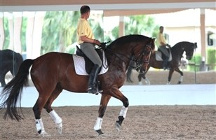 [Foto]
