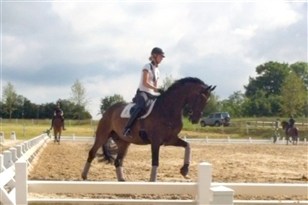 [Foto]