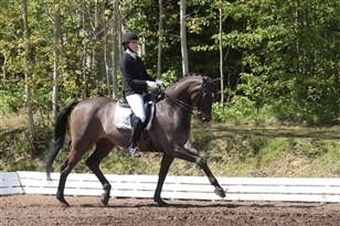 [Foto]