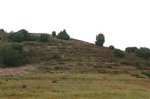 [Foto]