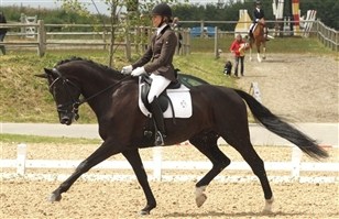 [Foto]