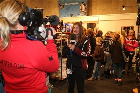 Vi opdaterer løbende vores hjemmeside med webTV fra Hingstekåringen i Herning. (Foto: Ridehesten.com/ Stine Melin)