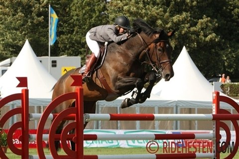 [Foto]