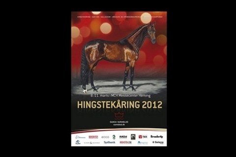 [Foto]