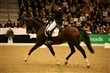 World Cup-deltagernes kommentarer til deres ridt