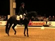 Vinderen af 5-års championatet Andreas Helgstrand og Blue Hors Hotline