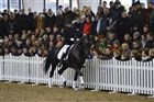 Åbent hus Blue Hors | Kirk Arabians