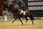 JBK Horse Show 2011| 5-års champ. finale - Blue Hors Bentley 