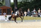 DM Broholm - Sidsel M. Johansen