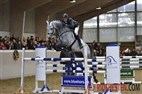 Åbent hus Blue Hors | Stutteri Ask springhingste 2013