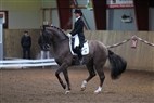 B-stævne Hjallerup 2012 | Grand Prix Special - Anna K og Donnperignon