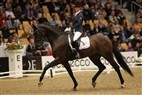 JBK Horse Show 2011 | 6-års champ. finale - Rådbjerg's Pari Piet