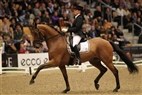 JBK Horse Show 2011 | 6-års champ. finale - Toftegårdens Colorado