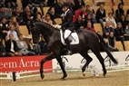 JBK Horse Show 2011 | 4-års champ. finale - Hot Spot