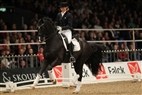 DV Hingstekåring Herning 2012 | Anna Blomgren og De Noir