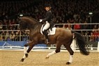 DV Hingstekåring Herning 2012 | Grand Prix - Anette Ejlersgaard