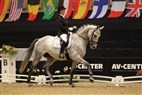 JBK Horse Show 2011 | 6-års champ. finale - Heslegård's Rismon