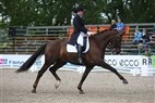 DM Broholm 2012 | Nadia Algren