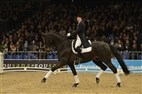 Dansk Varmblods hingstekåring 2013 | Sofie Jeppesen