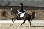 First Horse Pony DM | Dressurfinale for kat. III ponyer