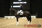 Dansk Varmblods hingstekåring 2013 | Andreas Helgstrand og Sezuan