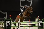Dansk Varmblods hingstekåring 2013 | Grand Prix Springning