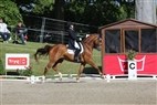 DM Broholm 2012 | Cathrine Dufour