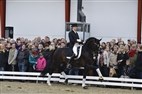 Åbent hus Helgstrand Dressage del 2