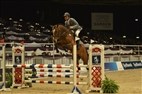 Dansk Varmblods hingstekåring 2013 | Springhingste under rytter
