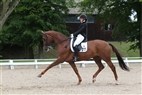 DM Broholm 2012 | Mille Larsen Warncke