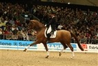 Broholm med ECCO Cup