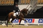 JBK Horse Show 2011| 5-års champ. finale - N.O.H.´s Daijoubo 