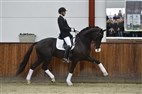Åbent hus Helgstrand Dressage del 1
