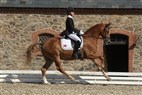 First Horse Pony DM | Dressurfinale kat. I ponyer del 2