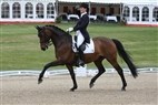 DM Broholm 2012 | Henriette Dam Vestergaard